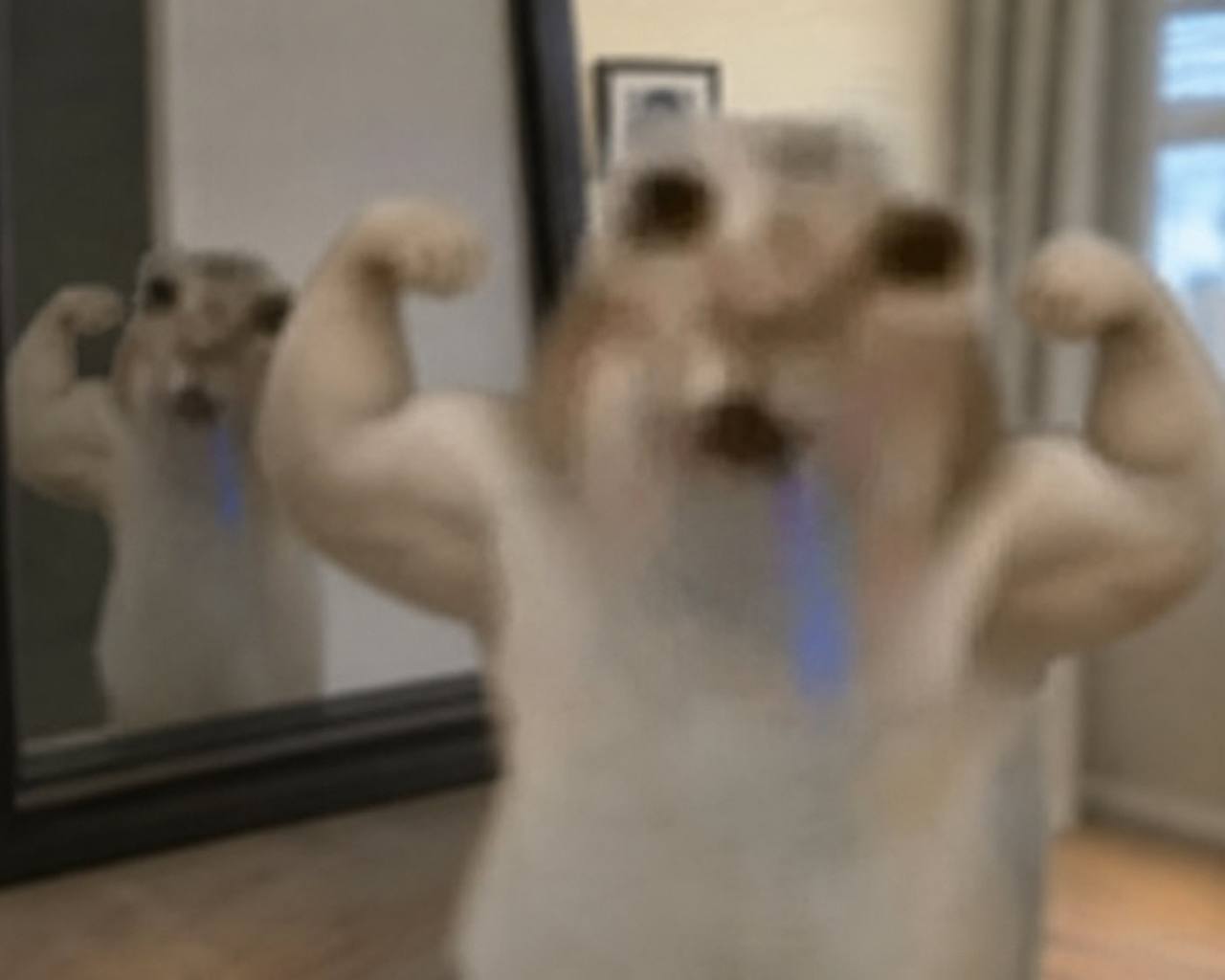 post-pump physique