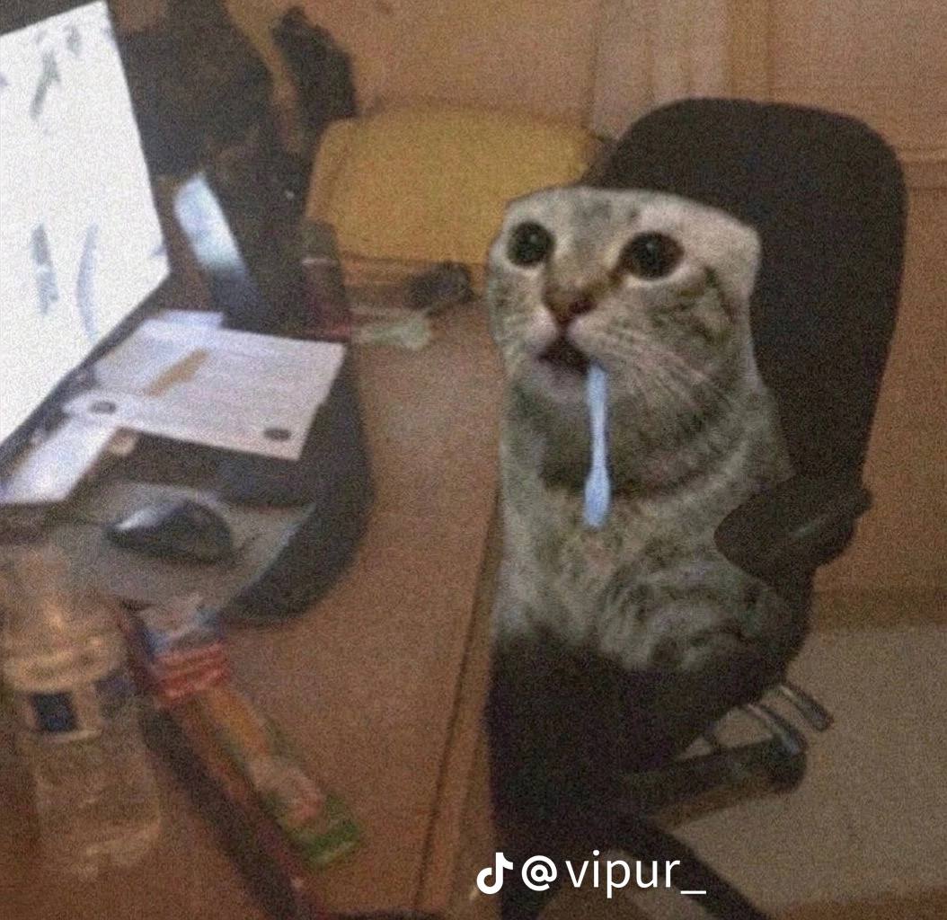 wagecat checking the chart